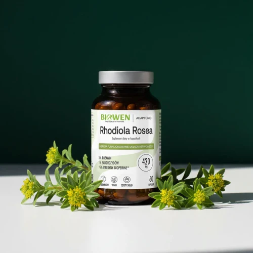 Rhodiola-Rosea-rozeniec-gorski-Biowen-60-kapsulek_73065104-7237-40a4-9b62-fb4ec69535ca.webp