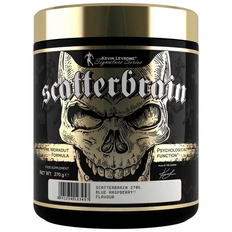 LEVRONE SCATTERBRAIN 270G - KEVIN LEVRONE